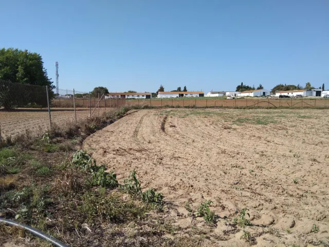 PARCELA INDIVISA DE 3.000M2 EN PAGO DE HUMO - foto 2