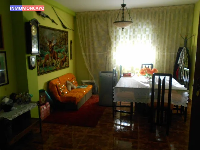 SE VENDE UNIFAMILIAR EN BORJA — 11