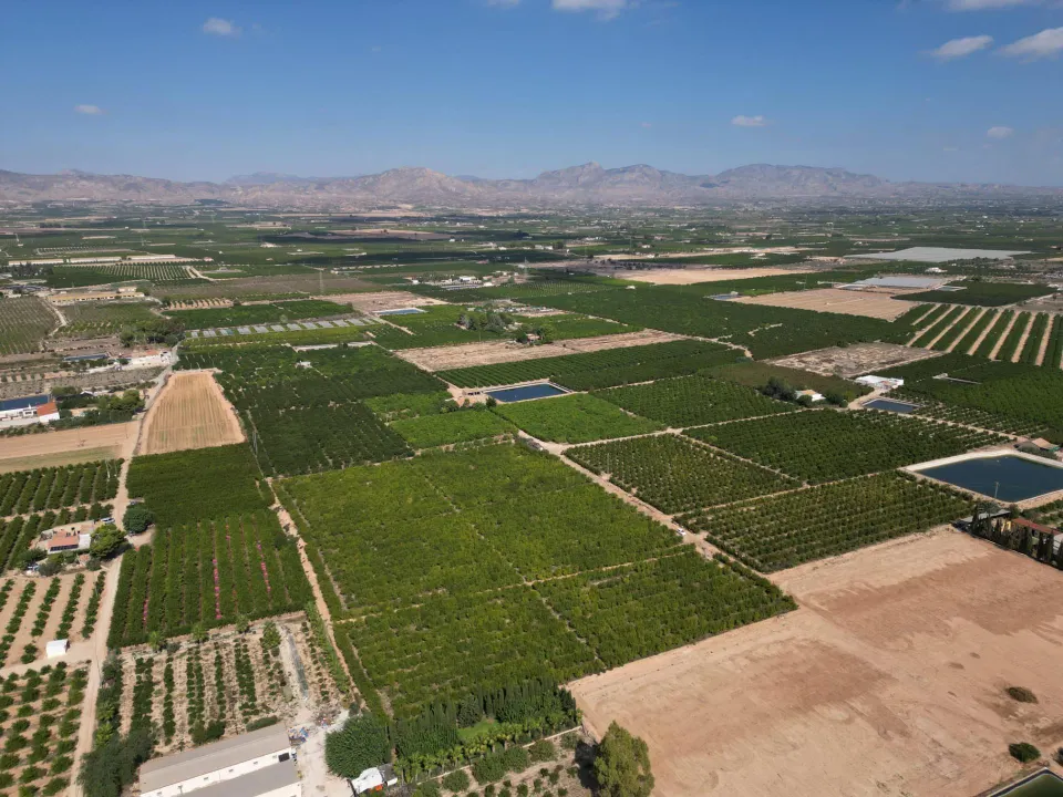 Oportunidad Inversión: Parcelas Rurales en Orihuela