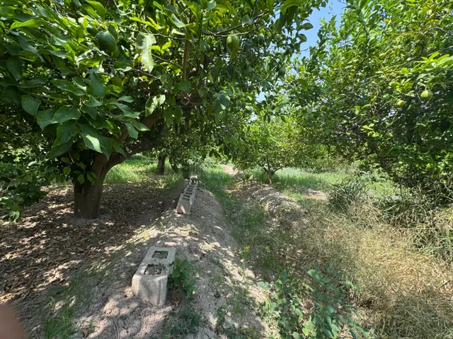 PARCELA RUSTICA EN PUENTE TOCINOS — 5
