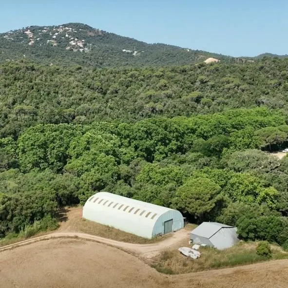 Masía histórica para rehabilitar con 19 hectáreas de terreno – Tossa de Mar — 23