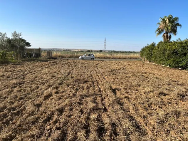¡¡PARCELA DE 1.500 M2 TOTALMENTE LLANA EN CUEVAS BAJAS!! - foto 4