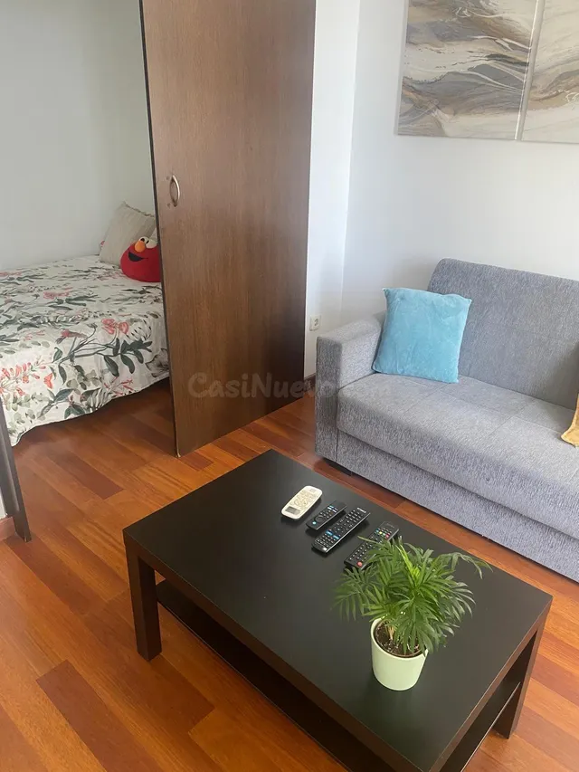 Estudio Reformado con Rentabilidad en Pleno Centro de Torrem - foto 2