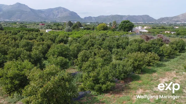VILLA SEÑORIAL EN BENIDOLEIG | Privacidad, naturaleza y elegancia mediterránea — 21