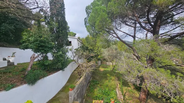 Parcela de 1.000 m2 con vivienda para acabar - foto 3