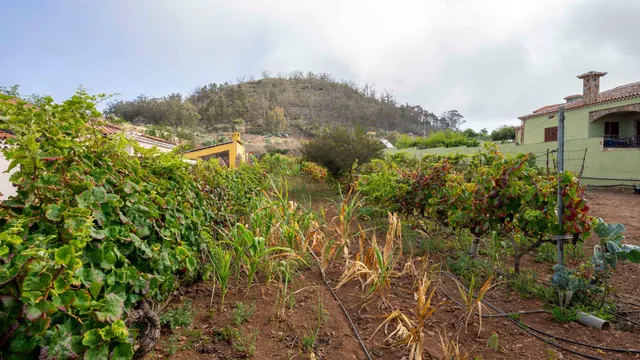 Terreno urbano en Tacoronte. — 6