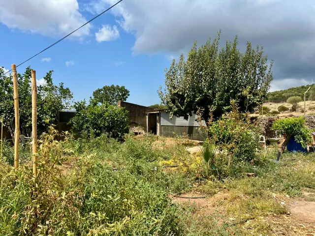 TU REFUGIO EN EL CAMPO: FINCA CON PISCINA, HUERTO Y CASA DE 3 PLANTAS — 9