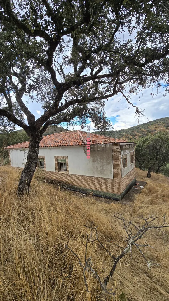 FINCA RUSTICA CON VIVIENDA — 15