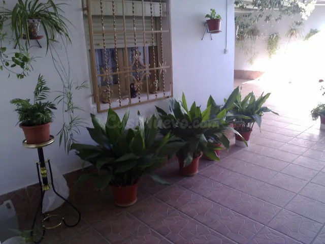 Casa 4 habitaciones 450m² en venta - Tomelloso - foto 3