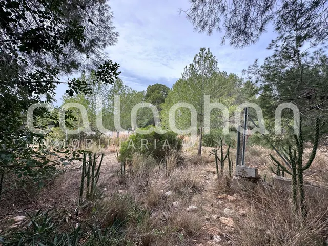 Terreno para construir la casa de tus sueños en Colinas de S - foto 3