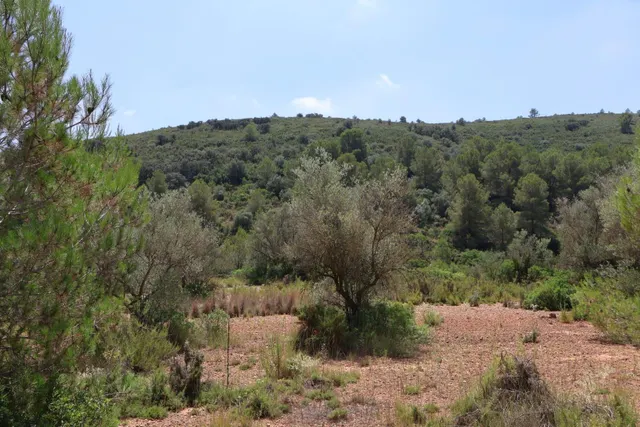 MASIA RUSTICA EN DOS HECTAREAS DE TERRENO ZONA POU DE BECA — 36