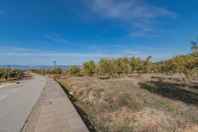 VENTA DE SOLAR URBANO EN URBANIZACION LOS CARACOLILLOS EN NIVAR CON UNA ESPECTACULAR ubicación — 25
