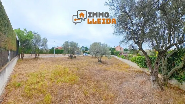 ¡Haz realidad la casa de tus sueños en Cervera! — 18