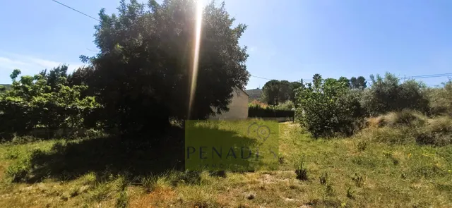 PARCELA CON PEQUEÑO REFUGIO PARA RESTAURAR — 14