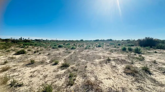 Terreno de 12.000 m2 en Perleta. — 14
