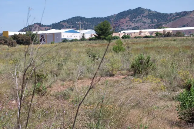 Terreno en Llano del Beal (Cartagena). - foto 4