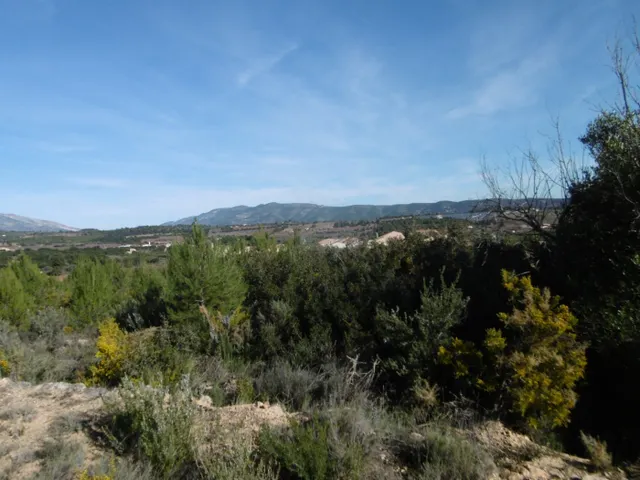 MASIA PARA REFORMAR  CON ALMACENES EN UNA FINCA DE 10 HECTÁREAS — 37