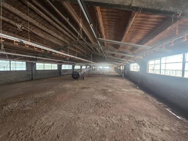 Finca rústica con granja, almacenes y casita de piedra en Pa - foto 4