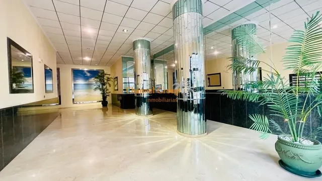 Alquiler Guardamar del Segura zona mercadona — 16