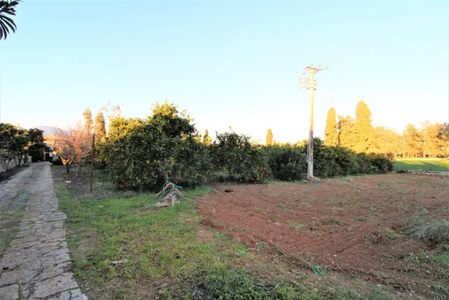 Finca Rústica en Llubí — 33
