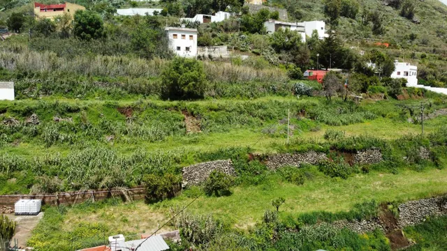 Terreno rural en venta - La yedra gran canaria - foto 5
