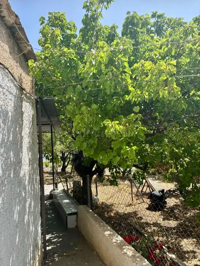 Finca agrícola y ganadera de 25.000 m2 con pozo propio, placas solares y plantación en producción en Gérgal — 16
