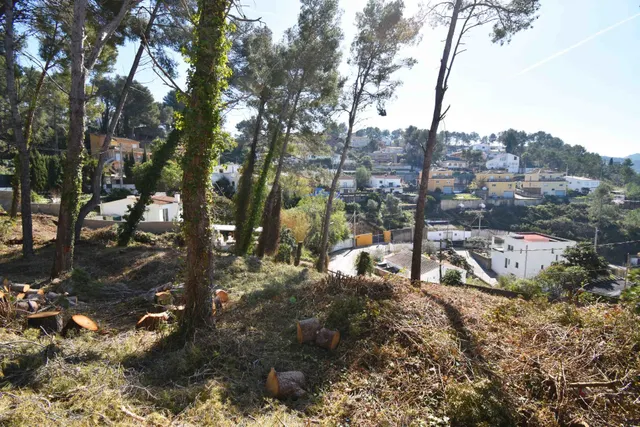 TERRENO A DOS CALLES CON VISTAS Y BUENA ORIENTACIÓN EN MAS MESTRE — 4