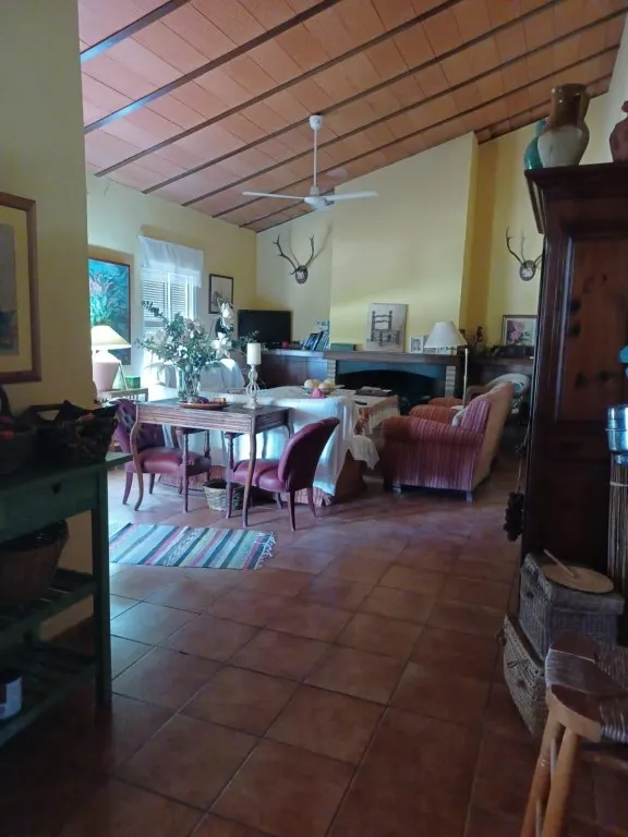 Magnífica casa de campo con piscina y vistas a Moguer, en finca de casi 15.000 m2 — 8