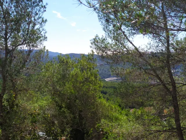 TERRENO EN LA COGULLADA (CANYELLES) — 5