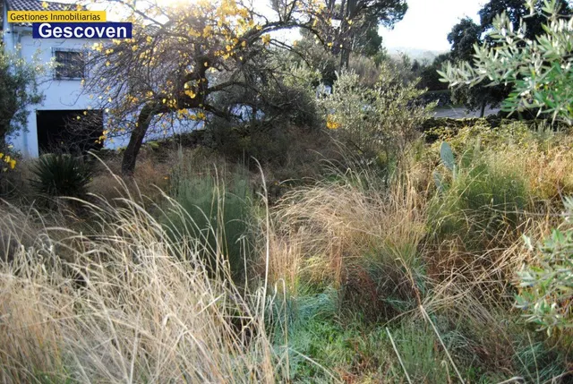 VENTA PARCELA - foto 5