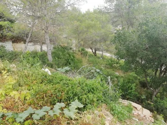 Parcela en Canyelles (California) 491m2 — 3