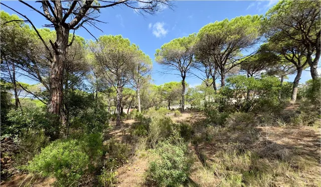 PRECIOSA PARCELA PARA CONSTRUIR LA CASA DE TUS SUEÑOS!!! - foto 5