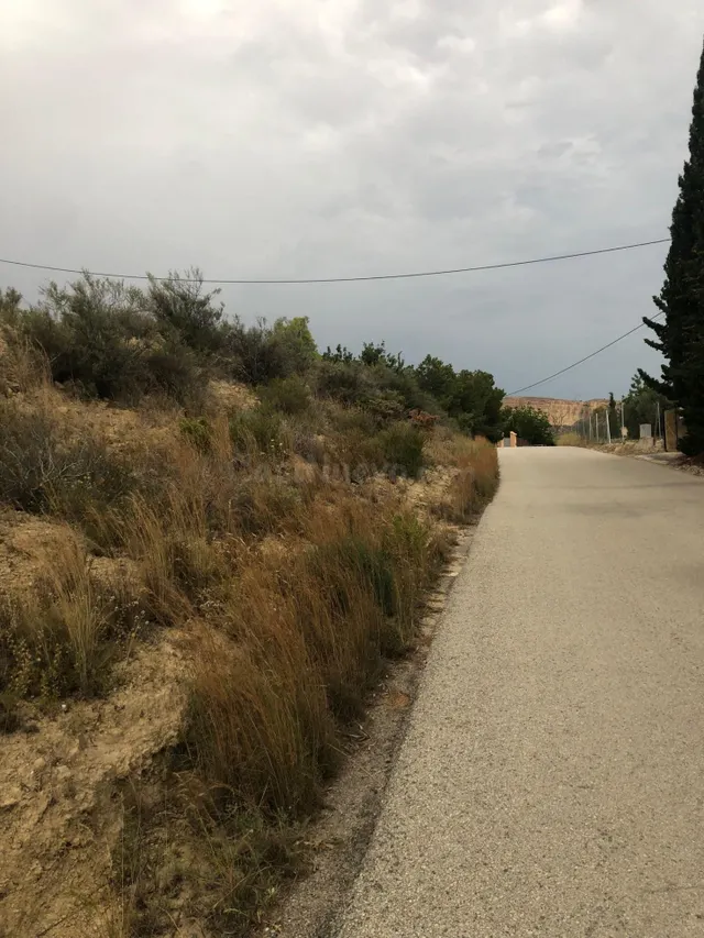 TERRENO EN LA MONTAÑA DE CREVILLENTE - foto 3