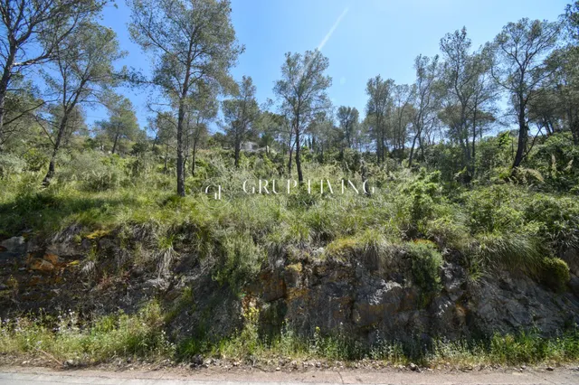 TERRENO EN MAS MESTRE, OLIVELLA — 4
