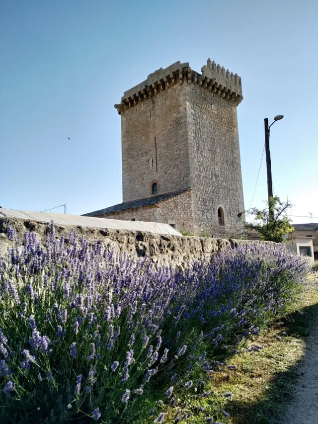 CASTILLO HISTÓRICO OLMOS DE LA PICAZA - foto 5
