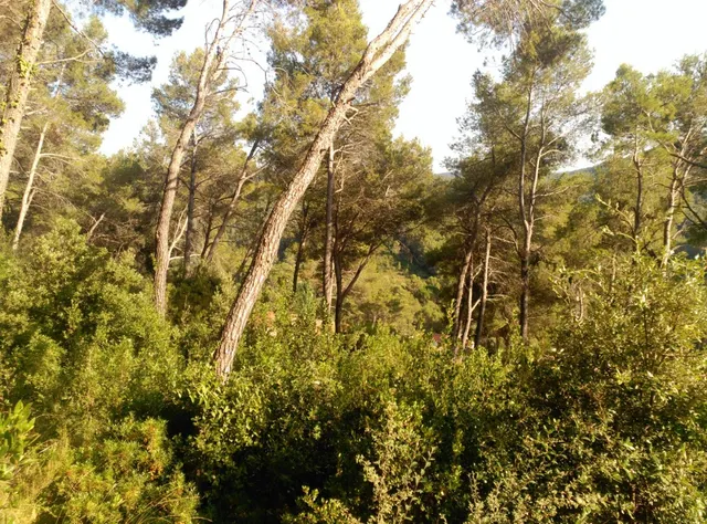 Espectacular terreno que da a dos calles, en Corbera de Llobregat, cerca Hotel Can Fisa. — 18
