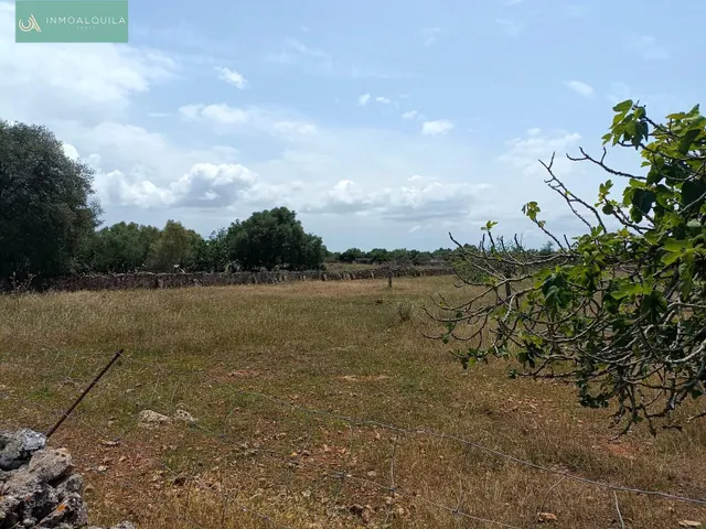 Finca edificable con proyecto — 2