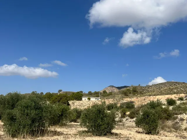 Casa Rural en Barinas, Abanilla: Tu Refugio Ideal — 19