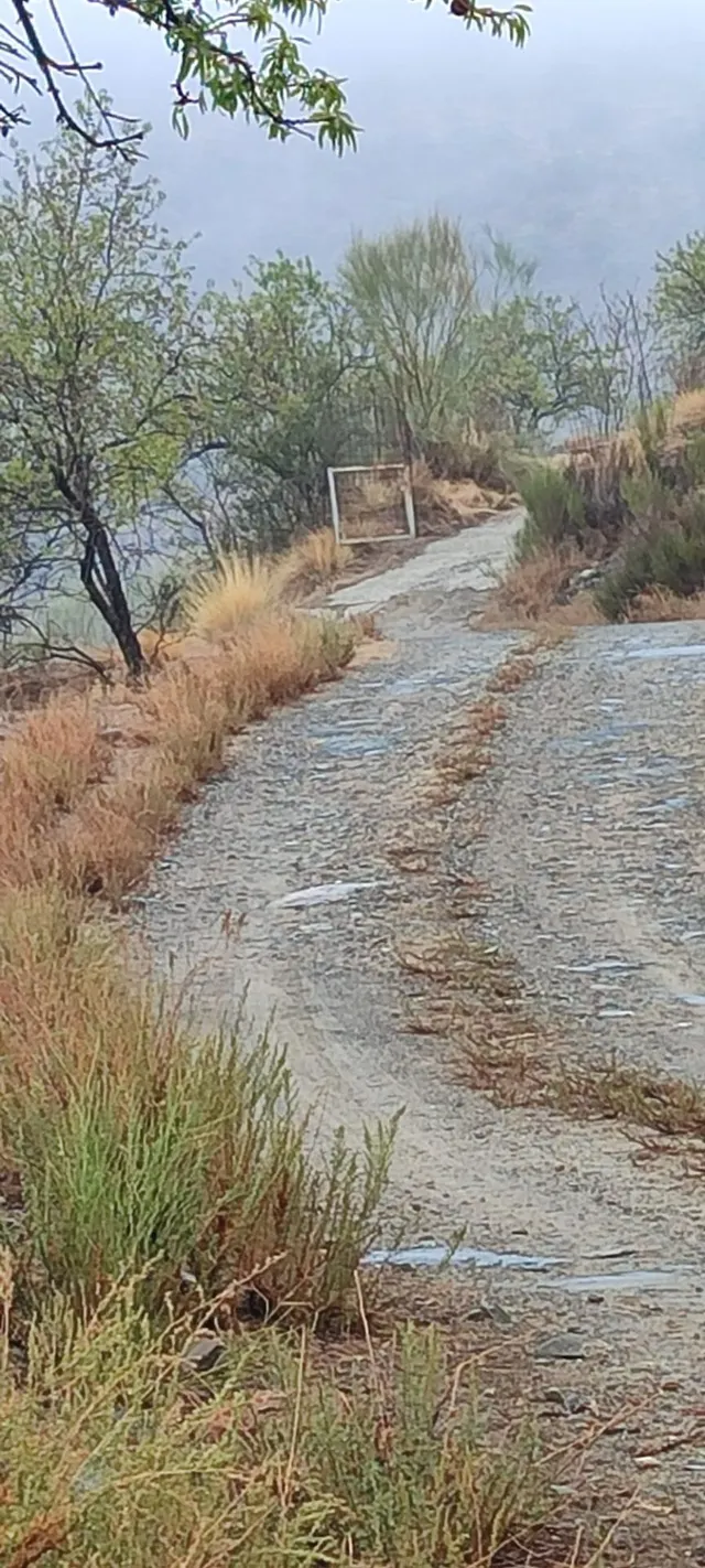 VENTA EN SIERRO ( ALMERÍA ) DE TERRENO PARA CAZA. — 11