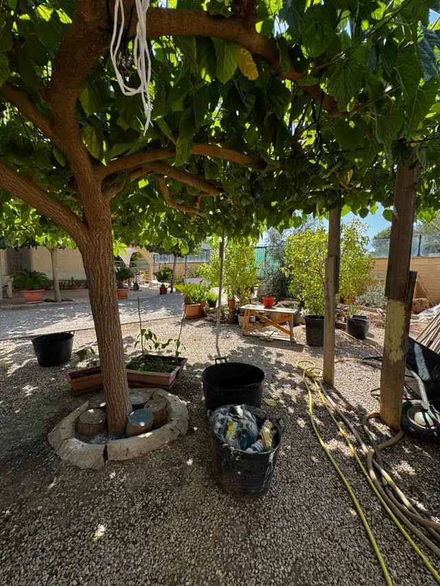 Casa 3 habitaciones 1m² en venta - Los Alcázares — 14