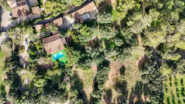 FINCA RUSTICA CON PISCINA EN INCA — 46