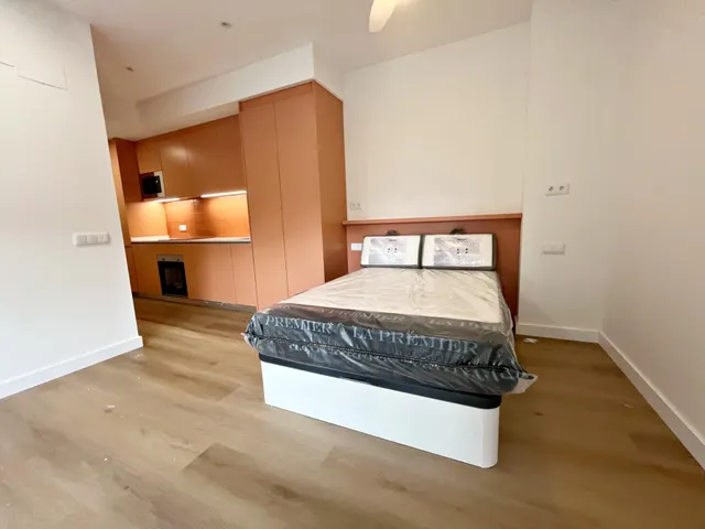 LOFT CON REFORMA A ESTRENAR PARA CORTA Y MEDIA ESTANCIA — 14