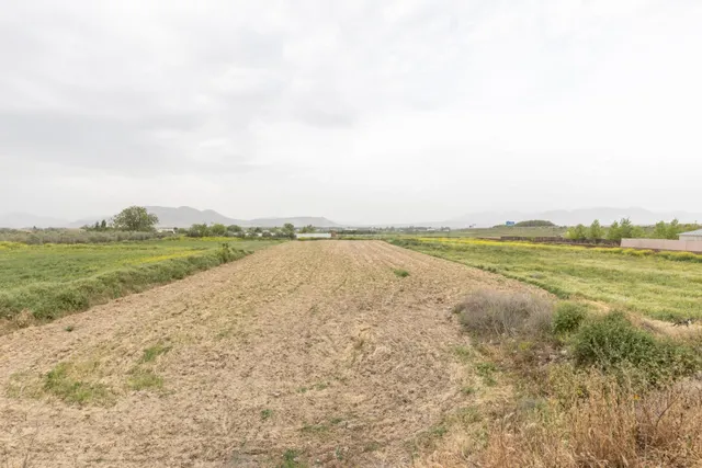 PARCELA RÚSTICA DE 3.500 M2 EN SANTA FE - foto 5