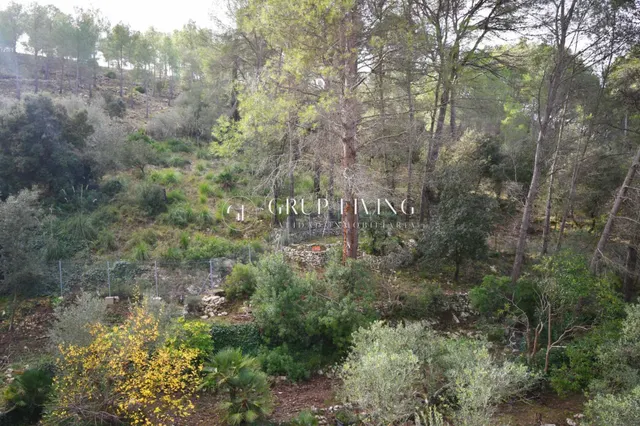 TERRENO URBANO EN OLIVELLA PUEBLO — 4