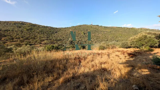 Gran Casa de Campo a 6 km de Cáceres — 27