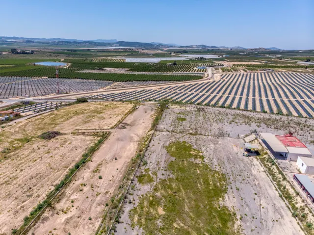 SE VENDE FINCA RÚSTICA DE 27.000 m Los Montesinos — 48