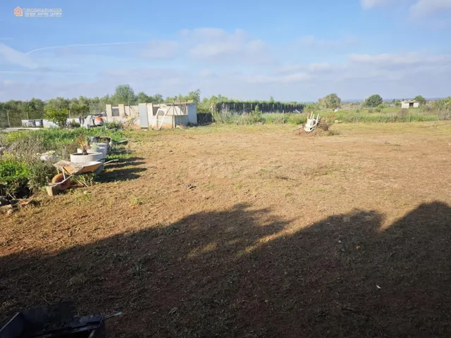Parcela Rústica de 2.689 m2 en Felanitx â Zona Segona Volt - foto 5