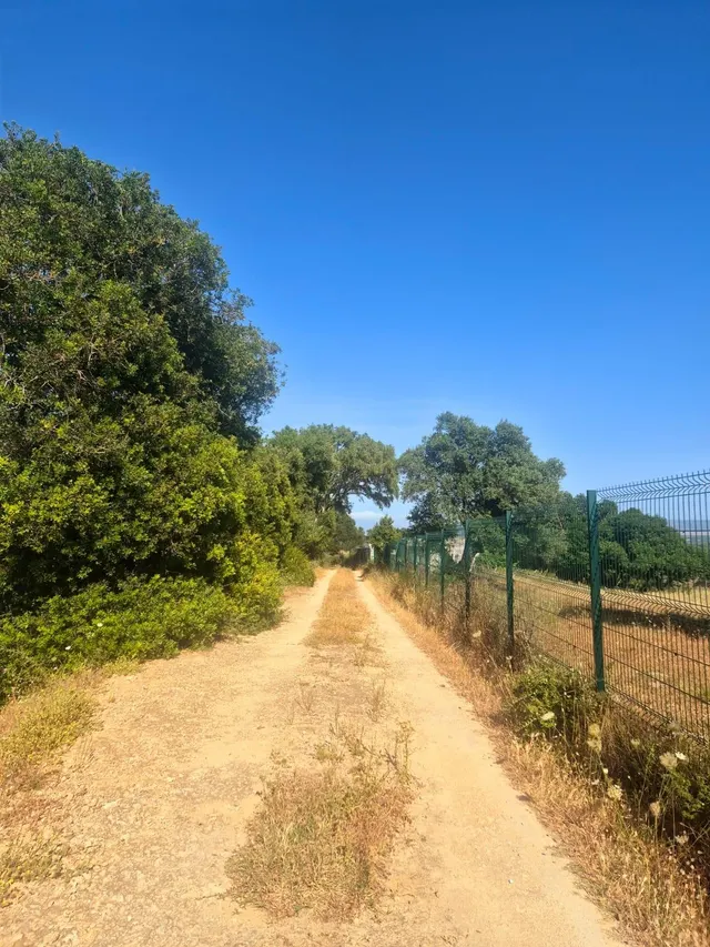 Tu refugio entre Vejer y el Atlántico — 10