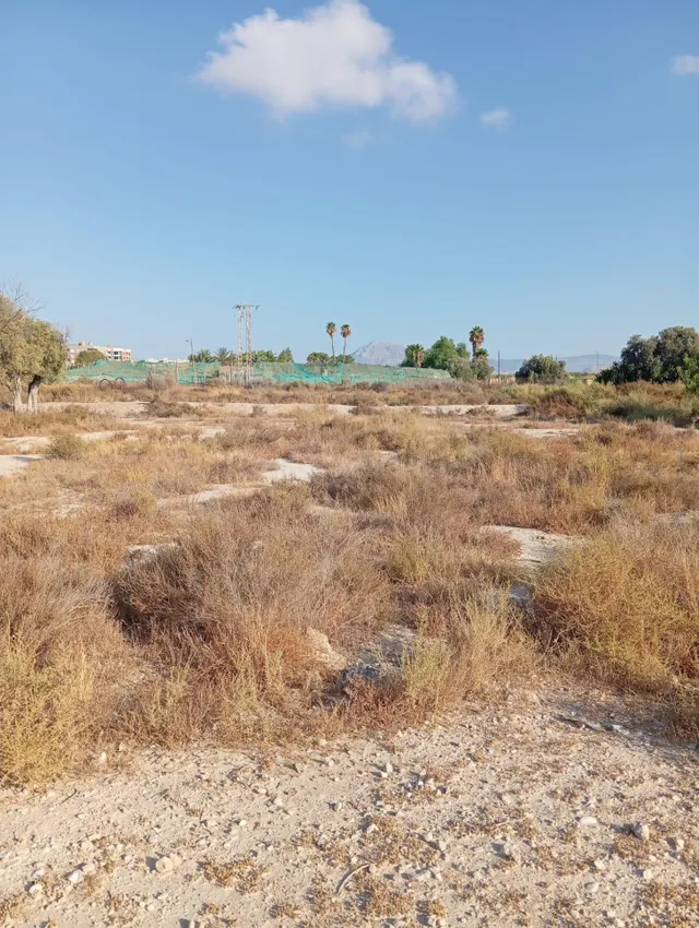 Terreno rural cultivable cerca del pueblo de Mutxamel — 4