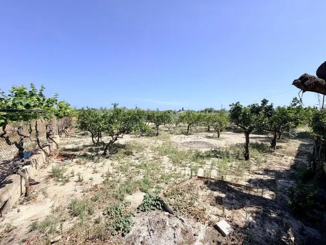 Casa de campo 5 habitaciones 215m² en venta - La Marina - foto 3
